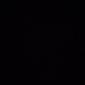 Meet your Posher, Bill